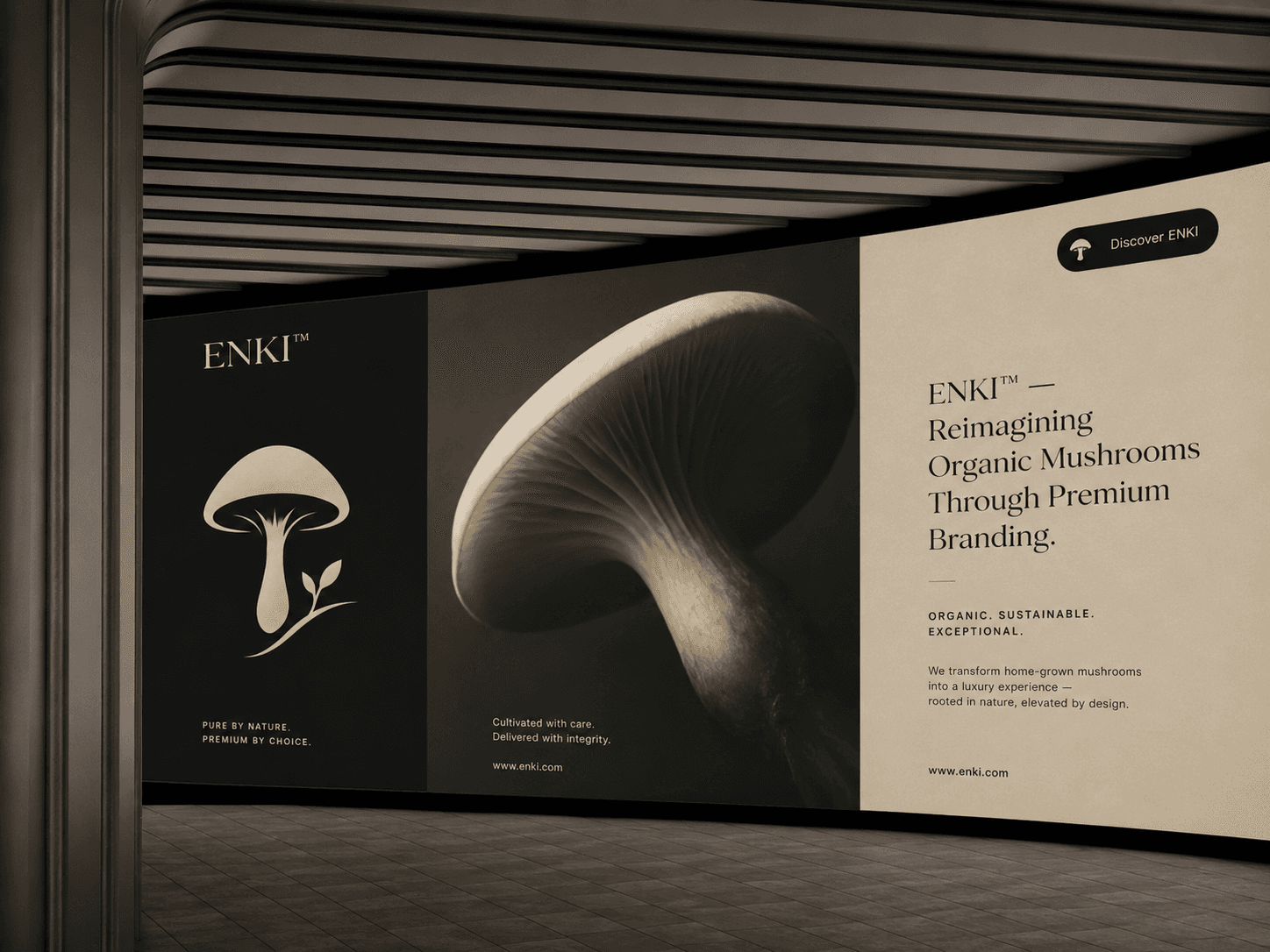 Brand Identity
